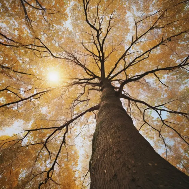 Golden tree representing Ontario Teachers’ Pension Plan Board’s impact on global finance through innovative investment strategies, transparency, and accountability.