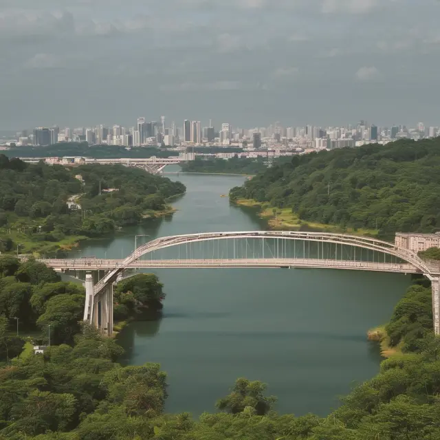 Resident aliens crossing a bridge to access Social Security, Medicare, Medicaid, and food assistance programs
