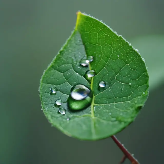 Elusive water droplet illustrating scarcity in economics, with keywords: scarcity, economics, elusive, water, drip.