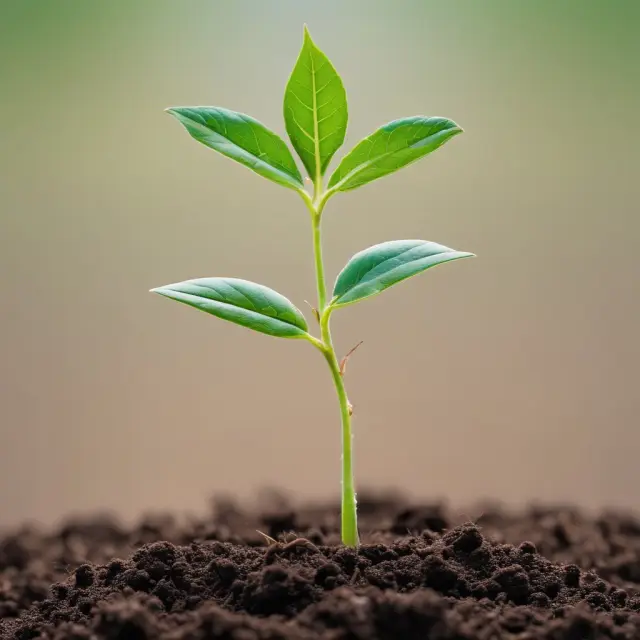 Image of a seedling thriving in soil composed of ROE and retention ratio labels