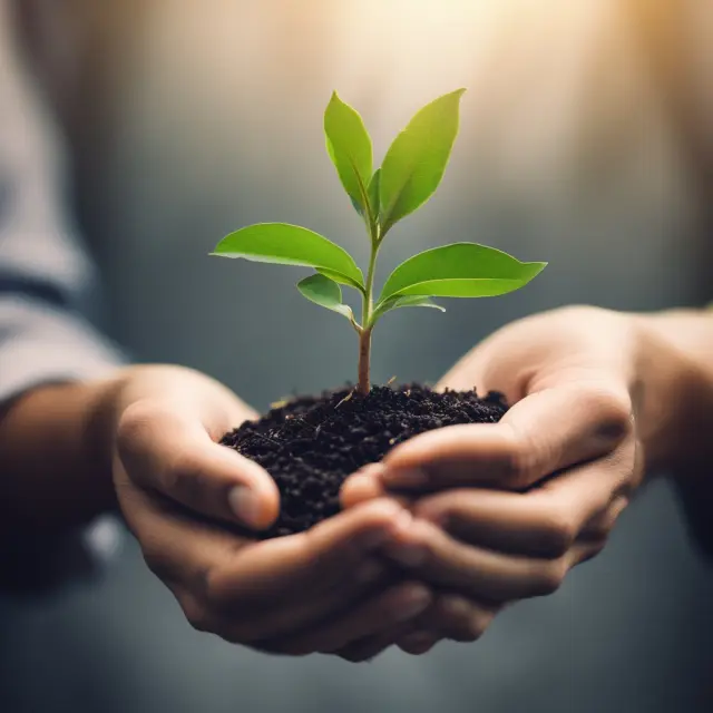 A taxpayer caring for a seedling, symbolizing growth and investment strategies without relying on large annual tax refunds