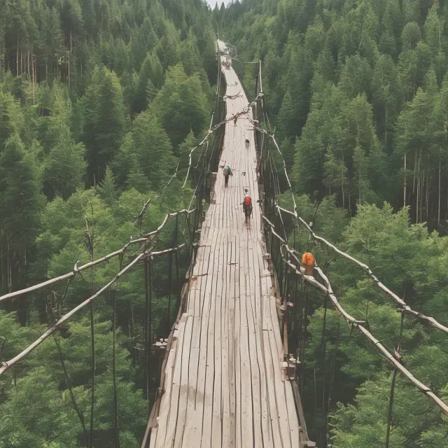An image of a bridge over a river, symbolizing TIMOs connecting institutional investors to the world of forest land investments