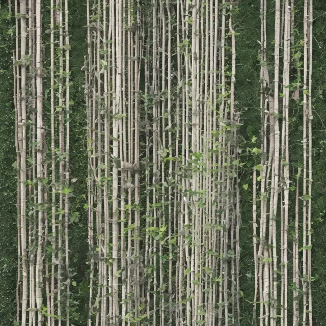 A gardener skillfully trims unwanted data points from a large financial dataset to reveal a more accurate mean