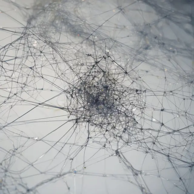 An image of various nodes connected by glowing threads within a complex network, symbolizing the relationships between entities visualized using mapping tools
