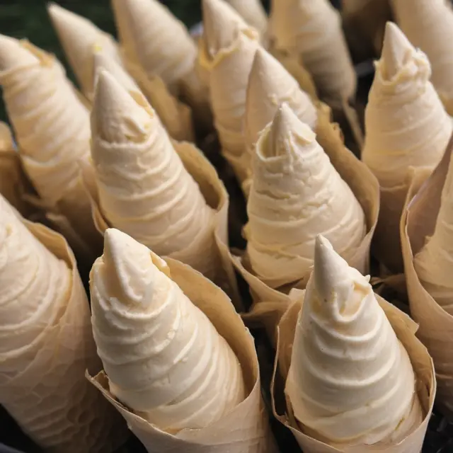 A vibrant garden with vanilla ice cream cones symbolizing simple, cost-effective investment strategies thriving among various blooming flowers and plants