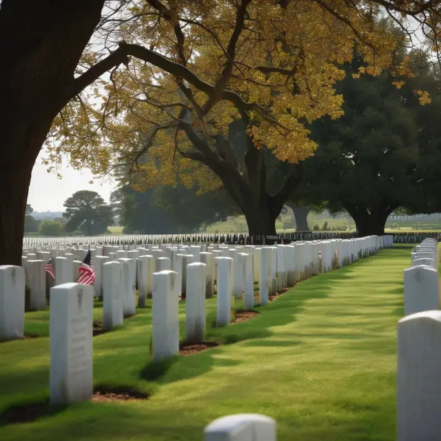 A panorama of 155 national cemeteries, symbolizing veterans