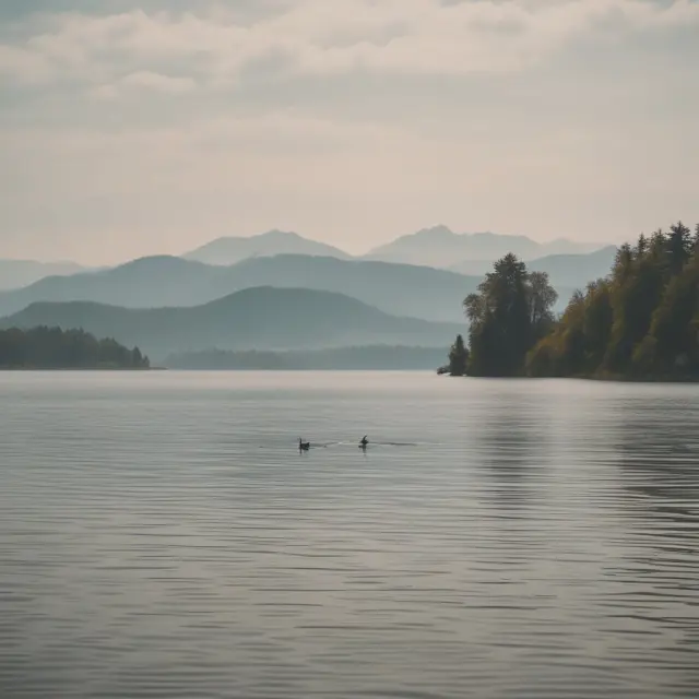 Calm lake illustrating a balanced portfolio amidst fluctuating markets, with VIX as a guiding beacon